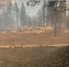  ??  ?? The family’s home was entirely destroyed by the fires.