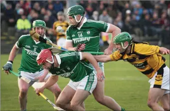  ??  ?? Paul Foley of Cloughbawn keeps a close watch on the sliothar.