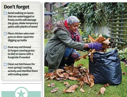  ?? ?? Collecting even one bag of leafmould will add to your soil improver store