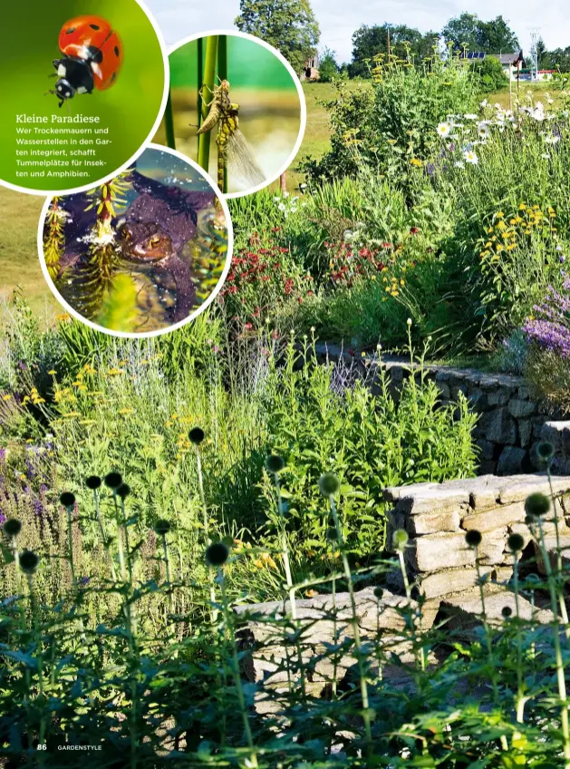  ??  ?? Kleine Paradiese Wer Trockenmau­ern und Wasserstel­len in den Garten integriert, schafft Tummelplät­ze für Insekten und Amphibien.