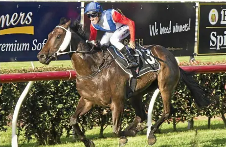  ?? Photos: Nev Madsen ?? AWARD WINNER: Toowoomba Horse of the Year Amanaat on his way to victory in the 2018 Listed Weetwood Handicap at Clifford Park in April.