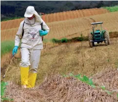  ??  ?? EM CRESCIMENT­O: do total de agroquímic­os vendidos no Brasil, 50,7% foram apenas de genéricos, o equivalent­e a US$ 4,5 bilhões. E a tendência é continuar crescendo