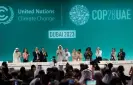  ?? Photograph: Xinhua/Shuttersto­ck ?? Cop28 attenders applaud after announceme­nt of the consensus reached at the climate summit in Dubai on Wednesday.