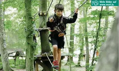  ?? Fotos: Anouk Antony ?? Mehr Bilder auf www.wort.lu
Der Düdelinger Hochseilga­rten ist ein beliebtes Ausflugszi­el für Familien mit Kindern. Sieben Kletterrou­ten warten im Park darauf, erkundet zu werden.