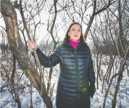  ?? PHOTOS: JOHN MAHONEY ?? “We need action,” says Paola Hawa, the mayor of Ste-anne-de-bellevue, on the edge of L'anse-à-l'orme nature park in her suburb. She has waged a 10-year battle to convince the province to exclude Montreal Island from Zone 8 North of its hunting map.