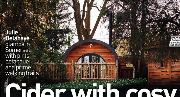  ??  ?? PEACE Orchard glamping pod oasis