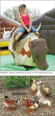  ??  ?? Madison Jeanes attempts to stay on the mechanical bull. The charter school ducks and geese roamed the pen but moved too fast for kids to catch.