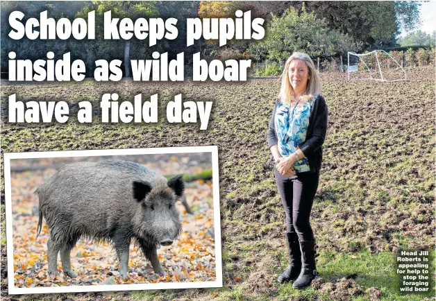  ?? Picture: SWNS; ALAMY ?? Head Jill Roberts is appealing for help to stop the foraging wild boar