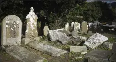  ??  ?? Vandalised graves at Old Kilbride Cemetery.