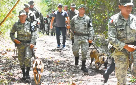  ??  ?? Más de 20 elementos de la Guardia Nacional, en coordinaci­ón con policías ministeria­les y binomios caninos, entre otros, se abocan a la búsqueda de los deportista­s que desapareci­eron en los márgenes de Villas Otoch Paraíso, en el norte de Cancún.