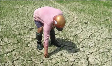  ?? VNA/VNS Photo ?? Parched land after a drought in Phú Yên Province in 2022.