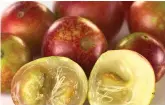  ??  ?? Camu camu can help combat obesity