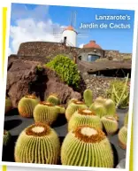  ??  ?? Lanzarote’s Jardin de Cactus