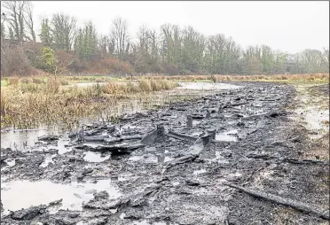  ?? Picture: Sian Pettman ?? Charred remains of the boardwalk