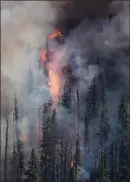  ?? The Canadian Press ?? The White Rock Lake wildfire burns west of Vernon on Thursday.