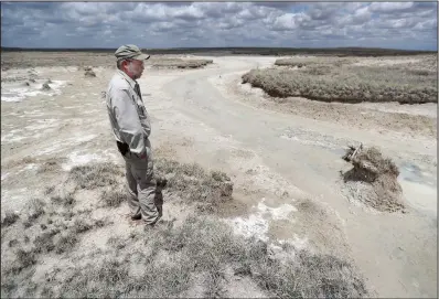  ??  ?? Smith looks over a nearly dry spring May 18 at the Muleshoe National Wildlife Refuge.