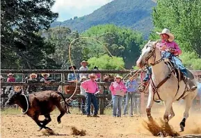  ?? SUPPLIED ?? Kurtis Pertab has made the New Zealand high school rodeo team and will compete in Australia in breakaway roping.