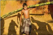  ?? DAR YASIN / ASSOCIATED PRESS ?? A Rohingya Muslim boy who crossed into Bangladesh from Myanmar carries bamboo given to him to help construct a shelter Monday at the Kutupalong refugee camp in Bangladesh.