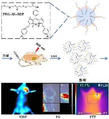 鄉民吵什麼 Ptt熱門看板關鍵字20210916