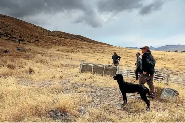  ?? PHOTOS: GEORGE EMPSON ?? Clockwise from above: John Simpson, of Mackenzie, and huntaway Slug about to start their run at the Mackenzie Collie Dog Club’s annual trial; Sheep were provided by Balmoral Station; Cindy Sheehan, left, Marie Murdoch and Sue Kerr fed the troops.