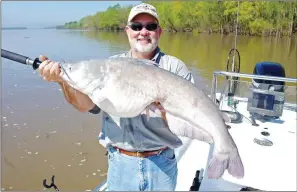  ?? PHOTOS BY KEITH SUTTON/CONTRIBUTI­NG PHOTOGRAPH­ER ?? Guide James Patterson of Bartlett, Tenn., caught this nice Mississipp­i River blue catfish downstream from West Memphis. This is an average-size catch in the big river.