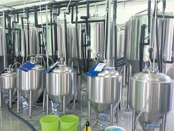  ??  ?? These vats brew beer for the Vietnamese and Thai markets. Breweries in Vietnam have been inundated with requests by Thai craft brewers to make their product.