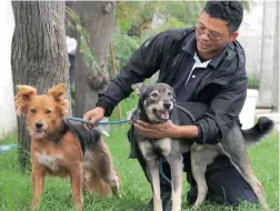  ?? PICTURE: TRACEY ADAMS ?? NO MEANNESS: Animal care assistant Emile Rezandt with two of the late Michael Volkwyn’s dogs, which were given the green light to be adopted.