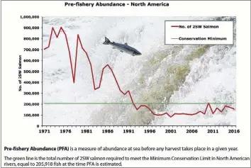  ?? SUBMITTED GRAPHIC/ATLANTIC SALMON FEDERATION ?? Scientists are trying to find out why so many Atlantic salmon are dying at sea.