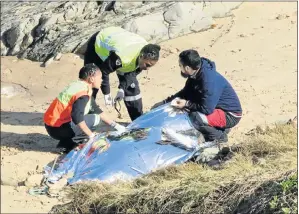  ?? Picture: FREDLIN ADRIAAN ?? BODY WASHES UP: Emergency workers examine a body found on the beach at the Beachview resort following the St Francis shipwreck