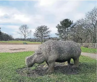  ??  ?? Hippo art installati­ons in Riverside Park, Glenrothes, have been a popular attraction.