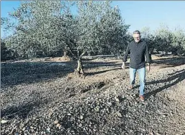  ?? VICENÇ LLURBA ?? El agricultor Rafael Verdiell, fotografia­do en un campo de Amposta