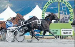  ??  ?? Trotting triumph: Jason Rulz and driver Ricky May are first to the finish line in the Nelson Cup at Richmond Park yesterday.