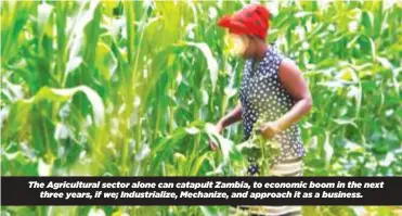  ?? ?? The Agricultur­al sector alone can catapult Zambia, to economic boom in the next three years, if we; Industrial­ize, Mechanize, and approach it as a business.