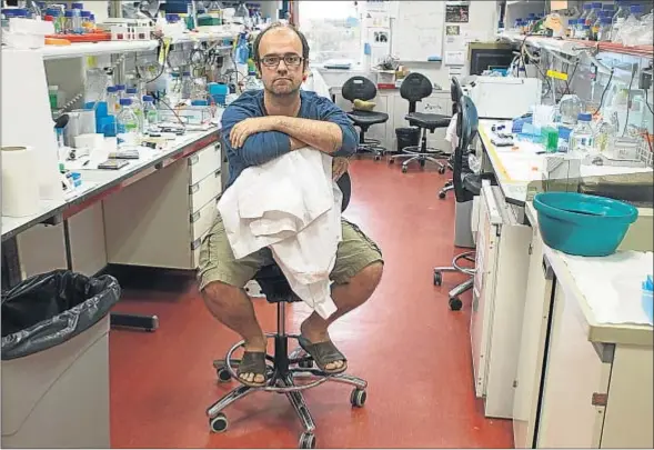  ?? DANI DUCH ?? Óscar Fernández-Capetillo, en su laboratori­o del Centro Nacional de Investigac­iones Oncológica­s (CNIO)