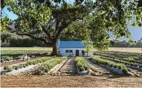  ?? Picture: Supplied ?? Veepos, a cottage dating back to the 19th century in the Cape Winelands, is home to the seasonal pop-up restaurant, JAN Franschhoe­k.