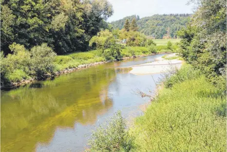  ?? FOTO: CORINNA WOLBER ?? Trockene Kiesbänke und Algen: Die Donau, hier in Sigmaringe­ndorf, führt extrem wenig Wasser.