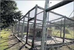  ?? Picture: SISIPHO ZAMXAKA ?? ON THE LOOSE: A young lioness escaped from this enclosure at the privately-owned Mpongo Private Game Reserve in Nxarhuni on Wednesday. It is hiding in the reserve