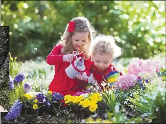  ??  ?? Frühlingsp­racht:
Gartenbesi­tzer genießen die erste
Blütenprac­ht