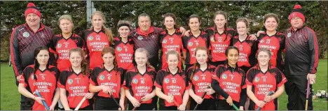  ??  ?? The beaten finalists from Oulart-The Ballagh.