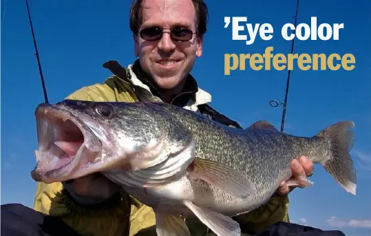  ?? Dan Morey ?? Can walleye see your lure? Research on Lake Erie confirms the colors walleye can see in various water conditions. Kayak fisherman Dan Morey released this 30-inch walleye caught while jigging off Presque Isle.