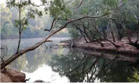  ?? Photograph: Russell Shakespear­e/AAP ?? The Wenlock River at the Steve Irwin Wildlife Reserve. A portion of Cape York land handed to traditiona­l owners is classified national park and protected, but about half is granted as ‘freehold’ and remains at the mercy of mining companies.