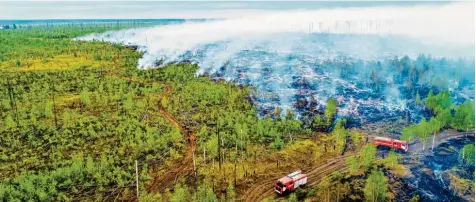  ?? Foto: Picture Alliance/dpa, Ministeriu­m ?? Einer von derzeit vielen Waldbrände­n ist der im Naturschut­zgebiet des Bezirks Temnikovsk­y im Nordwesten Russlands.