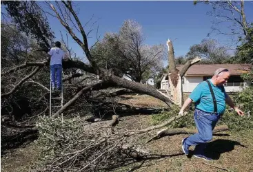  ?? Godofredo A. Vasquez photos / Houston Chronicle ?? Tim Twardowski, left, and his cousin Raymond Greer help clear downed trees from the home of Twardowski’s parents on Gebhardt Road on Wednesday in Sealy. Many residents are still without power.