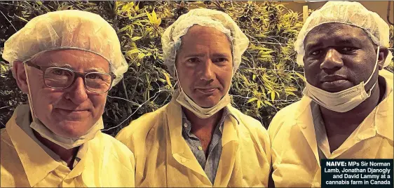  ?? ?? NAIVE: MPs Sir Norman Lamb, Jonathan Djanogly and David Lammy at a cannabis farm in Canada