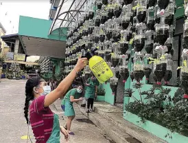  ??  ?? Father Ponpon’s urban garden sprouts all over the church compound of Our Lady of Grace Parish in Caloocan.