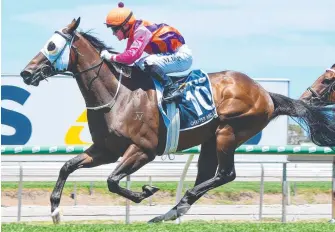  ?? Picture: TRACKSIDE PHOTOGRAPH­Y ?? Chapter And Verse wins at the Gold Coast in January.