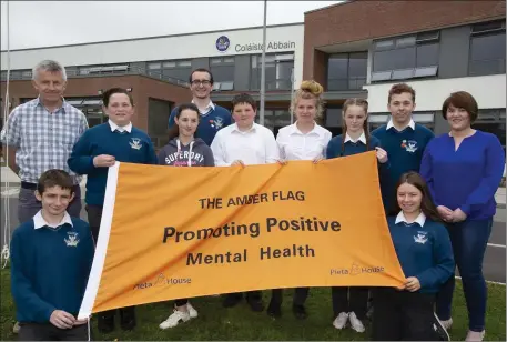  ??  ?? Coláiste Abbain Adamstown recently received their Amber flag. Pictured are James Gardiner, Tomy Tynan, teacher; Evan Roche, Michael Redmond, Rachel Redmond, David Plumber, Holly Power, Alannah Delaney, Anthing Finn, Nadia Furlong and Fiona Quirke.