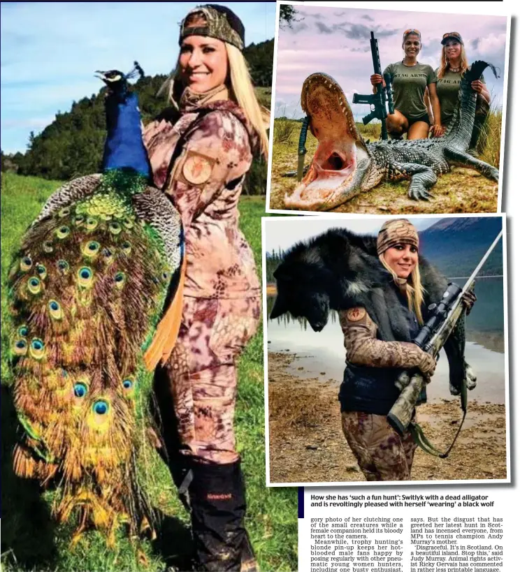  ??  ?? Proud as a peacock: The ‘hardcore huntress’ shows off the dead bird’s spectacula­r plumage How H she hh has ‘such ‘ h a fun f hunt’: h t’ Switlyk S itl k with ith a d dead d alligator lli t and is revoltingl­y pleased with herself ‘wearing’ a black wolf