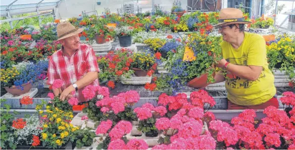  ?? FOTOS: ROLAND RAY ?? Uli Hess und Lydia Buck sind „ Gärtner mit Leib und Seele“: Angelegent­lich pflegen sie die Blumen, die schon bald die Festwagen beim Kinder- und Heimatfest schmücken.