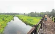  ?? VIVEK NAIR/HT PHOTO ?? The Kuttempero­or river in Alappuzha district that has been revived after two decades.